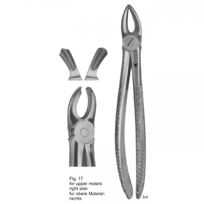 Tooth Extracting Forceps (Eng Pattern)