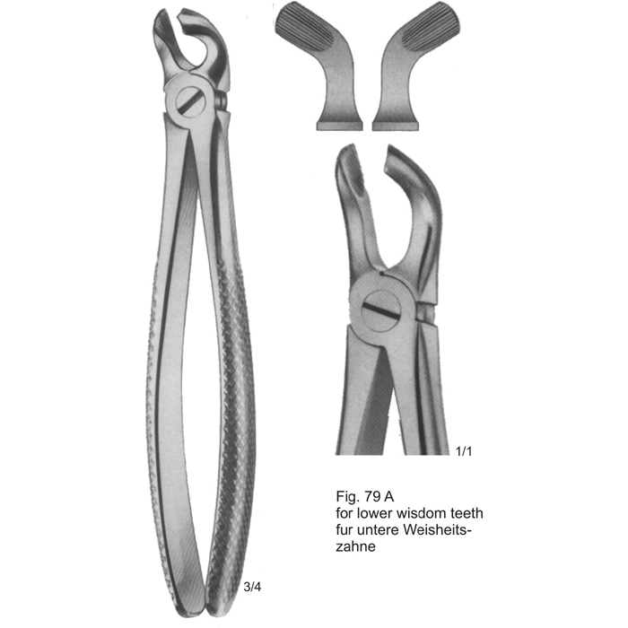 Tooth Extracting Forceps (Eng Pattern)